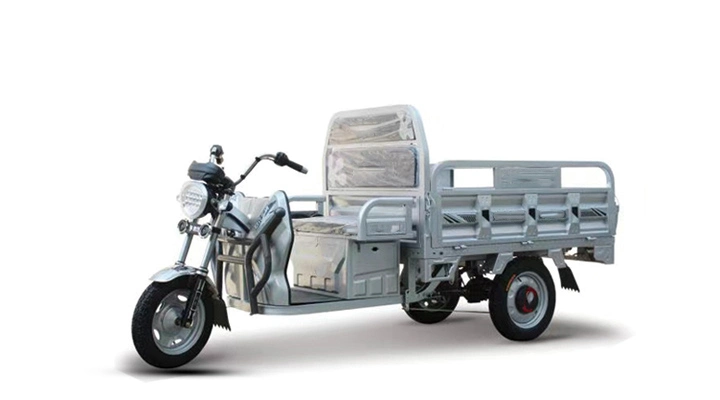 China Supplier Three Wheels Scooter Truck 500W/800W Garden Helper Trike Delivery Transport Electric Tricycle with Large Cargo