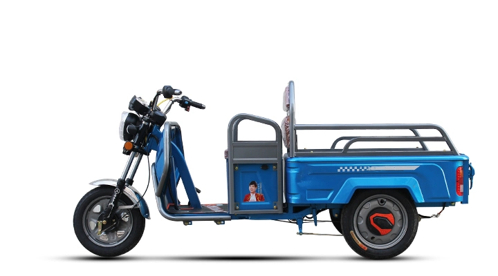 China Sale Motorcycle Electric Mobility Three Wheeler Tricycle Trike 500W Three Wheel Cargo Tricycle Reverse Dumper Trike Motor Trike with Large Cargo