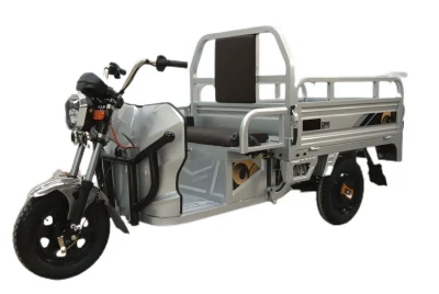 화물 지방 타이어 전기 trikes 공장 제조 도매에 인기있는 더 큰 전력을 갖춘 잘 1000W 60V 45ah 전기 자동차 판매