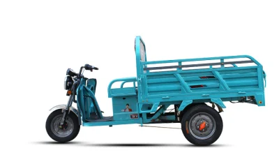 큰 짐을 가진 3개의 바퀴 수송 차량 500W/800W/1000W Trike 수송 세발자전거의 공장 판매