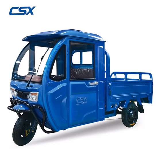 안전하고 저렴한 Strong Tuk Tuk 좋은 품질 500W/800W/1000W 전기 이동성 세발자전거 대형 화물 세발자전거
